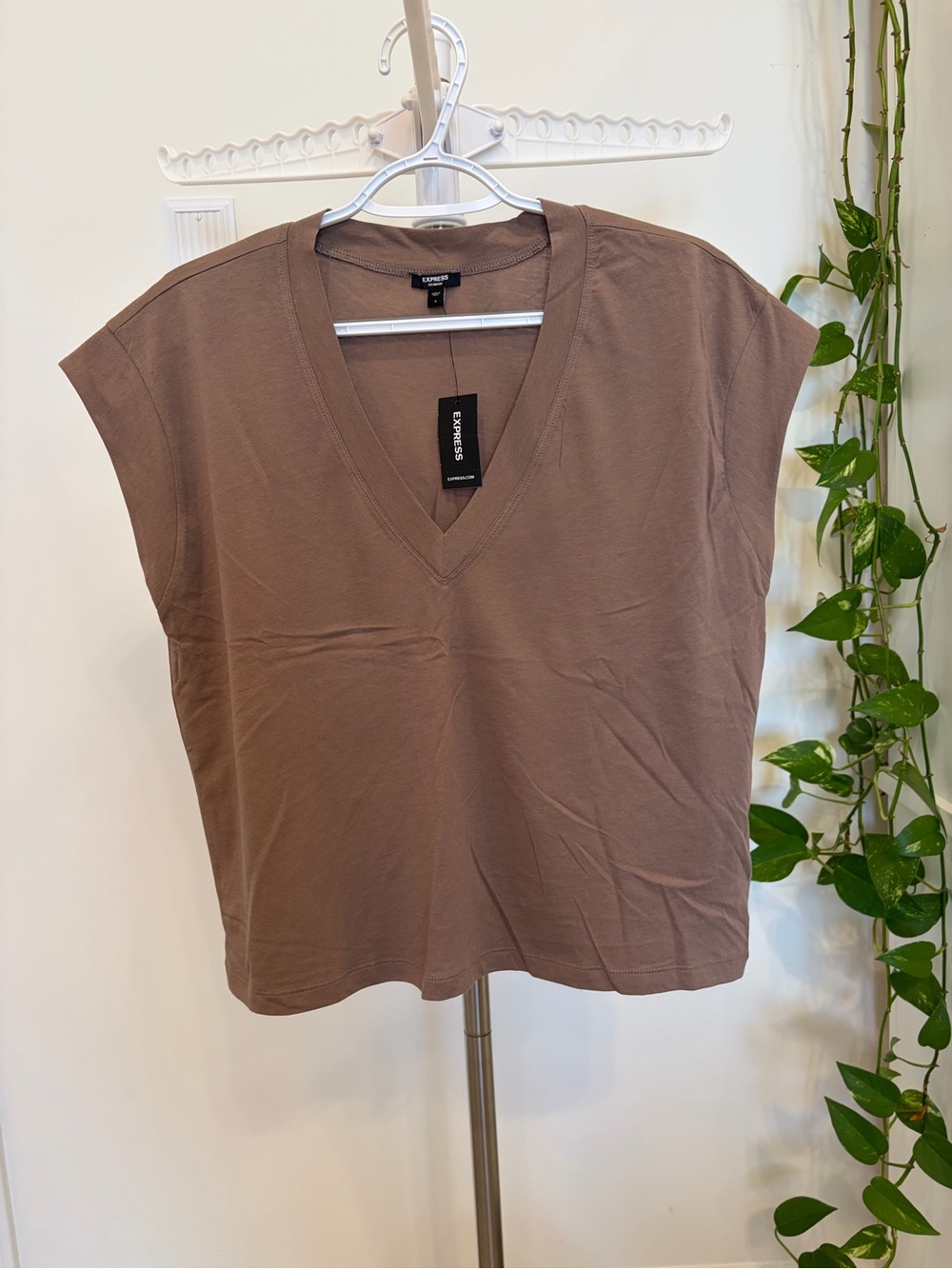 Express Women's V-Neck Short Sleeve Top in Taupe Brown